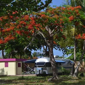 Airstream Paradise Camping